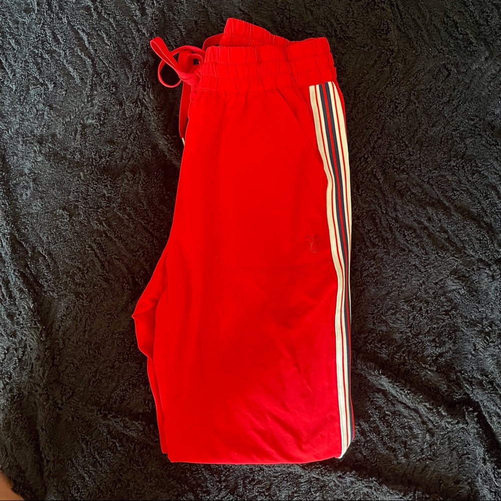 🚨SOLD🚨tna Perridon Stripped Jogger Pants